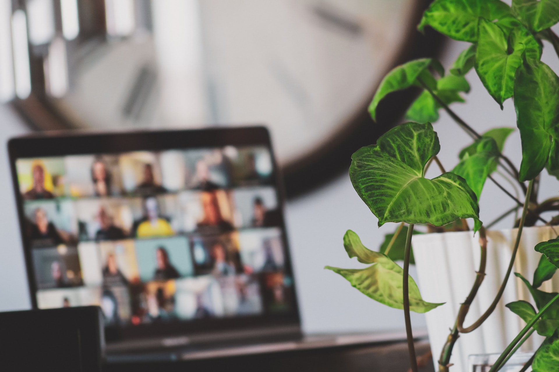 zoom screen, remote work